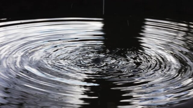 "Water droplets falling into a dark pond creating ripples with bright sunlight reflections."
