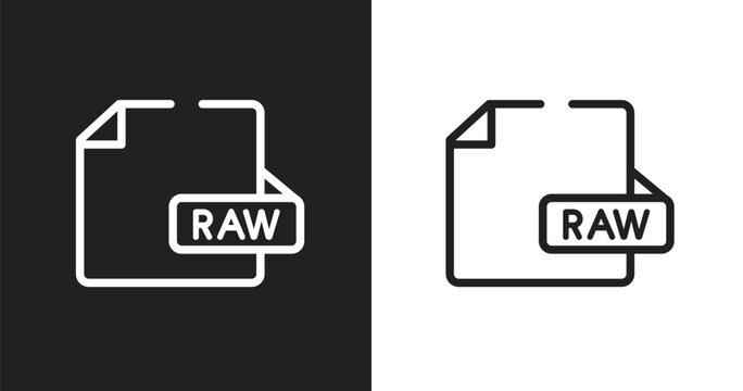 Raw file icon. Linear black, white icon from drone collection. Outline raw file vector. Thin line symbol isolated on white and black background