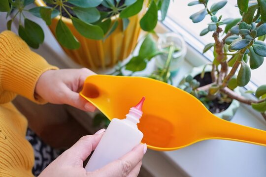 Top view of Hands holding a bottle of hydrogen peroxide over a yellow watering can