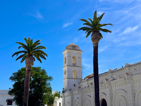 Plaza de Santa Catalina with palms and the Iglesia de Santa Catalina, Conil de la Frontera, Costa de la Luz, Andalusia, Spain