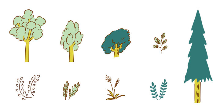 plants, trees, grass_ecosystem, environmental restoration, regenerative, succession,biotope_color｜植物,樹木,草_生態系,環境再生,リジェネラリティブ,遷移_カラー