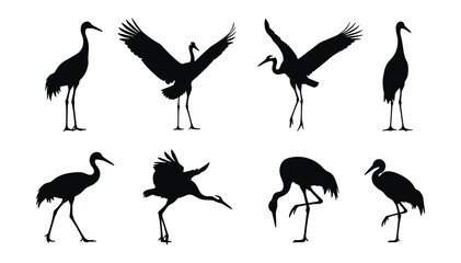 Fototapeta premium Crane Bird Silhouette Set — Black Vector Illustrations of Cranes in Standing, Dancing, Flying, and Feeding Poses for Nature and Asian Design