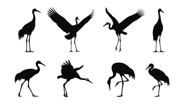 Crane Bird Silhouette Set &mdash; Black Vector Illustrations of Cranes in Standing, Dancing, Flying, and Feeding Poses for Nature and Asian Design
