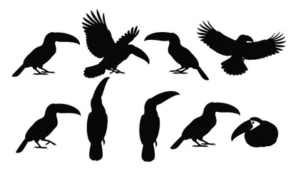 Naklejka premium Toucan Silhouette Set — Black Vector Illustrations of Toucans in Flying, Perching, Resting, and Profile Poses for Tropical Design