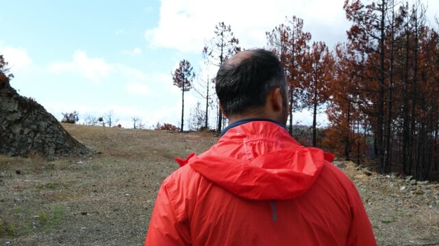 Slow motion rear view tracking shot of a man in an orange raincoat walking deep into a burnt and decimated forest area highlighting the ecological impact of wildfires