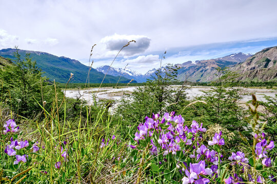 Patagonien  El Chalten  