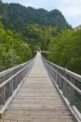 Obraz premium Blick auf den Baumwipfelpfad bei Füssen, Bayern, Deutschland.