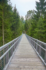Obraz premium Blick auf den Baumwipfelpfad bei Füssen, Bayern, Deutschland.