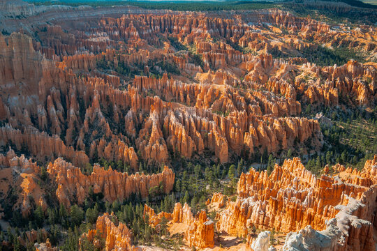Sunset Canyon Glow. Serene Twilight Bathes Bryce Canyon In Rich Orange And Deep Contrasting Shadows