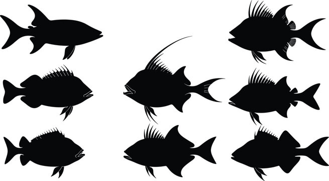 Hatchetfish silhouette collection. Deep sea fish vector set with unique body shapes and fin variations. Black marine life illustrations for ocean wildlife and underwater design.