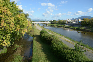 Fototapeta premium 御池大橋 橋上から鴨川上流を望む 京都市中京区上樵木町