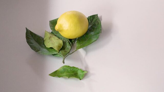 Two yellow lemons, rolling into frame and stopping on dry leaves, white background, High Quality FHD, Slow Motion 120fps
