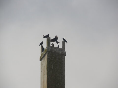 fotograf&iacute;a de una chimenea de un edificio abandonado, en la sima se encuentran los p&aacute;jaros 