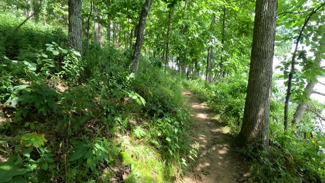 Slow-motion POV of Litchfield, IL&rsquo;s Route 66 Trail. A narrow dirt path winds through lush green forest with glimpses of calm Lake Lou Yaeger through the trees. Perfect lakeside hiking vibes.