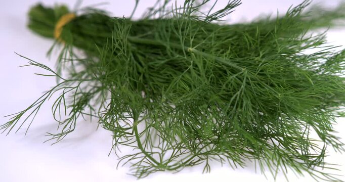 Super slow motion, Super Slow Motion Capturing Fresh Dill Fronds Settling To Highlight Crisp Texture