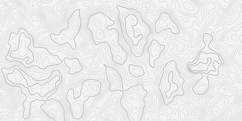 Fototapeta premium Geographic Topographic Contour Line Pattern with Clean White Background, Detailed Elevation Curve Line Structure, Seamless Mapping Texture, and Abstract Modern Design for Digital and Print Projects