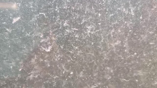 Murky water with floating organic particles and bubbles. Turbid liquid surface texture with grey sediment and motion blur. Close-up of polluted or silted water stream.