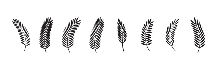 Fototapeta premium Various palm leaf silhouettes on white background, exotic jungle fronds vector collection.