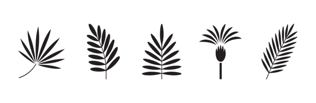 Set of black exotic palm leaves isolated on white background, vector flat plant icons