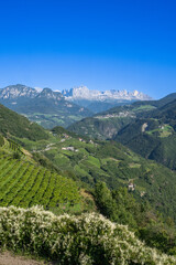 Fototapeta premium Above Bolzano In Alto Adige, Dolomites, South Tirol, Italy