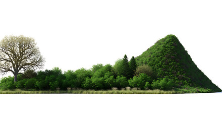 Fototapeta premium Row of green deciduous trees and lush bushy hillside isolated on white background for architectural landscape rendering and urban planning projects with natural vegetation elements