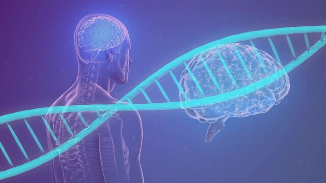 Medical visual showing torso rotating while DNA helix entering from left, linking brain and body