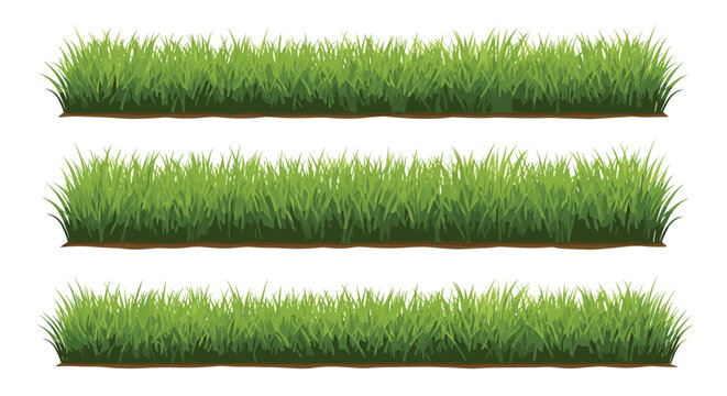 Three identical, parallel strips of dense green grass with brown soil are arranged horizontally on a clean white background.