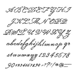 Naklejka premium Hand-drawn barbed wire font set featuring edgy, twisted letterforms with sharp thorn details. Unique grunge-style alphabet ideal for horror, punk, warning signs, and bold typographic designs.