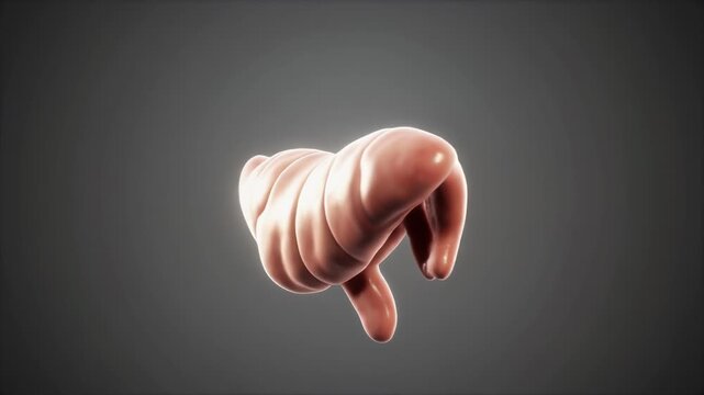 Detailed 3D Render of Human Liver Anatomy with Realistic Texture and Lobes