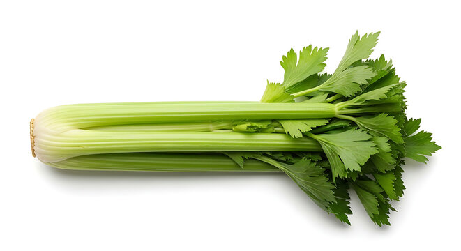 Fresh green celery stalks with leafy tops on white