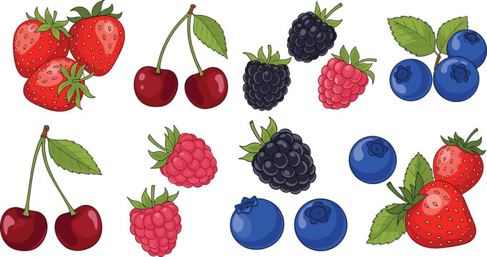 Set of fresh berries including strawberries cherries blueberries raspberries and blackberries in colorful flat vector style isolated on white background for healthy food design
