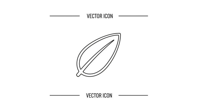 Simple leaf outline icon vector illustration, minimalist plant symbol