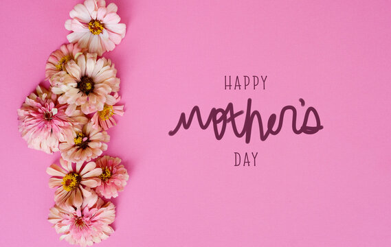 Happy Mother's Day pink background with zinnia flowers flat lay for holiday greeting banner in celebration of mom.