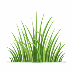 Fototapeta premium Fresh green grass blades vector illustration isolated on white background islamic background