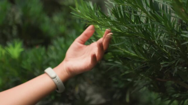 Hand reaching through lush green foliage, wristwatch visible, fingers brushing leaves in slow motion, closeup texture and bokeh, soft natural light, tactile connection suggesting gardener, botanist,