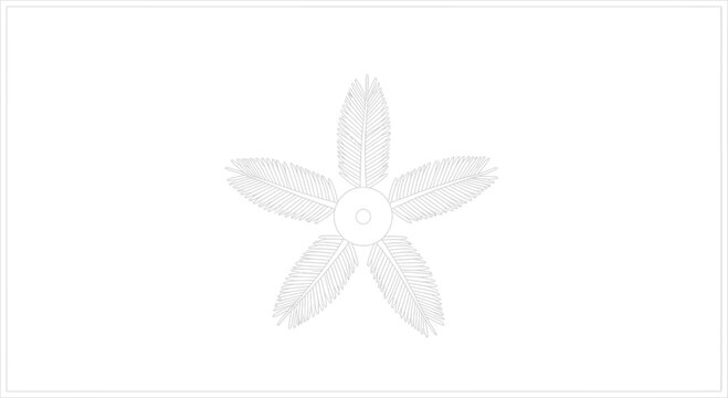 Delicate stylized botanical star illustration featuring feathery leaves on a clean white backdrop