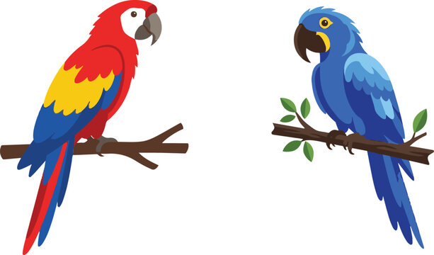 Colorful vector illustration of two parrots perched on branches &mdash; a red-and-yellow macaw and a blue parrot &mdash; designed in a clean, flat cartoon style on a white background.