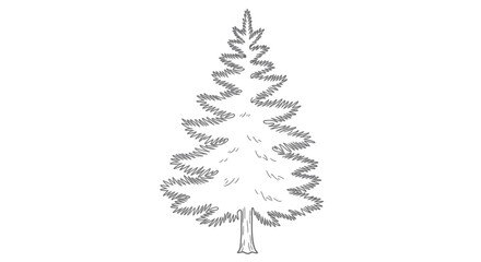Obraz premium Hand-drawn Pine Tree Sketch, Simple Line Art Evergreen Illustration