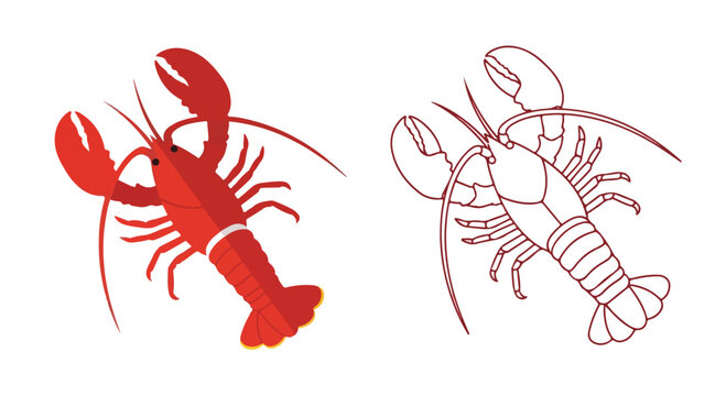 Two lobster illustrations, one red and one line-art, on a white background with a minimalist style.