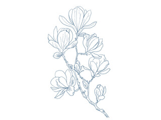 Elegant blue magnolia flower line art illustration © 명지 고