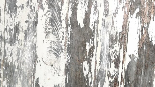 Wall surface materials, construction work.