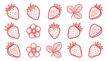 Strawberry collection vector illustration with fruits slices leaves and flowers line art © welyalfian