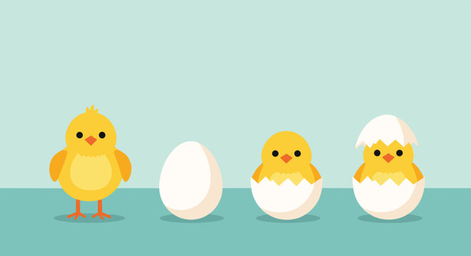 Sequential illustration showing the developmental stages of a baby chick from a white egg to a fully hatched bird.