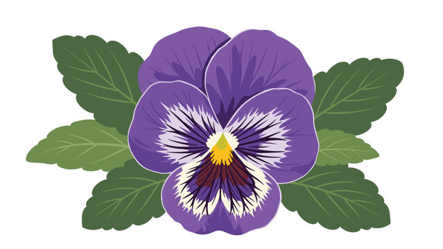 Vibrant purple pansy flower with a yellow center and dark petal patterns surrounded by several large green leaves.