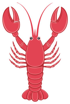 Cartoon Red Lobster Illustration with Claws and Antennae Crustacean Design Seafood Creature Vector Art