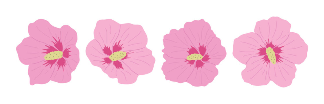 Set of pink hibiscus syriacus (Mugunghwa) flowers. Flat vector illustration of various Korean national flowers in bloom on white background for spring and traditional design.