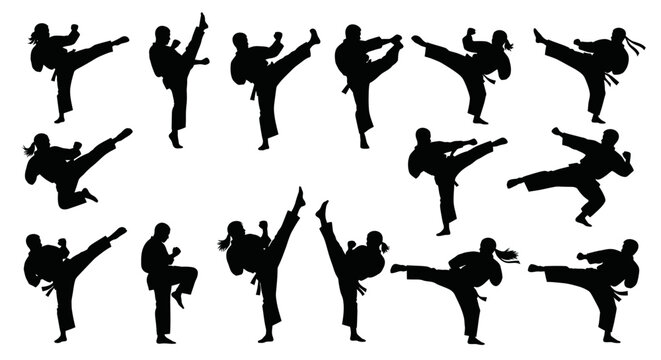 Martial Arts Silhouette Collection: Karate, Kickboxing, Taekwondo, Kung Fu Poses