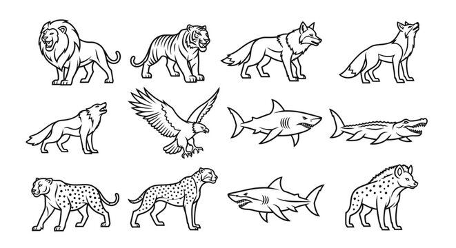 Collection of various wild animals 4.