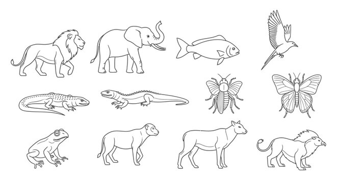 Collection of various wild animals line art 1.