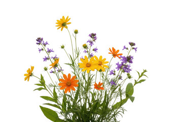 Vibrant bouquet of mixed flowers with butterflies and bees in a natural arrangement isolated on transparent background